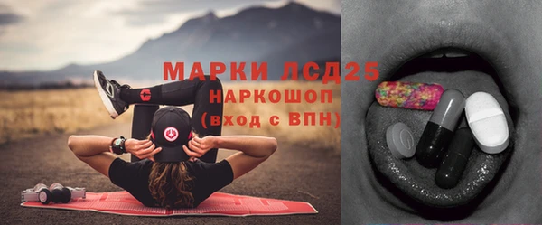 стаф Нефтегорск