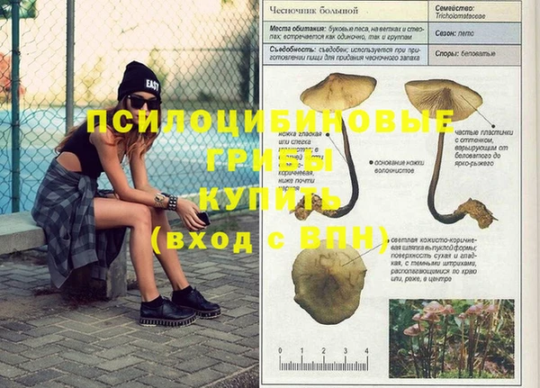 spice Новодвинск
