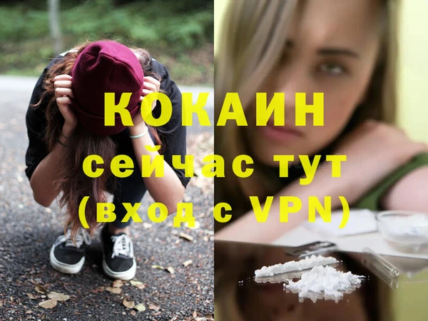 стаф Нефтегорск