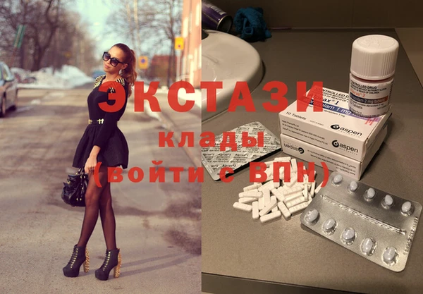 гашик Бежецк