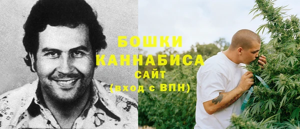 spice Новодвинск