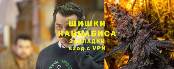 стаф Нефтегорск