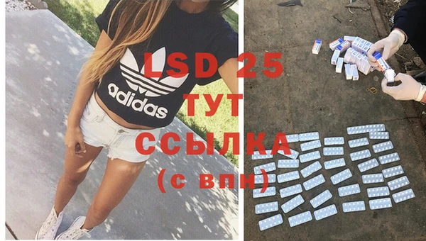 spice Новодвинск