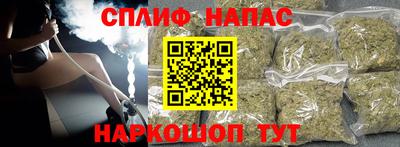 стаф Будённовск