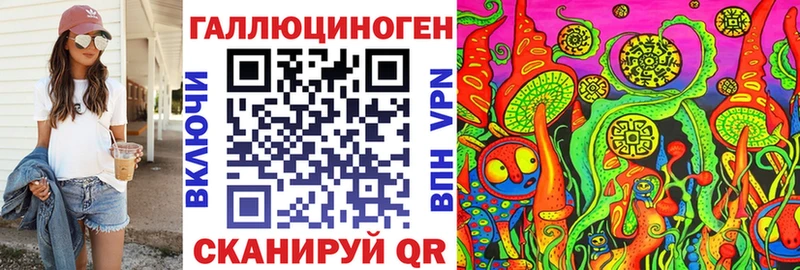Галлюциногенные грибы Psilocybine cubensis  как найти закладки  Новокубанск 