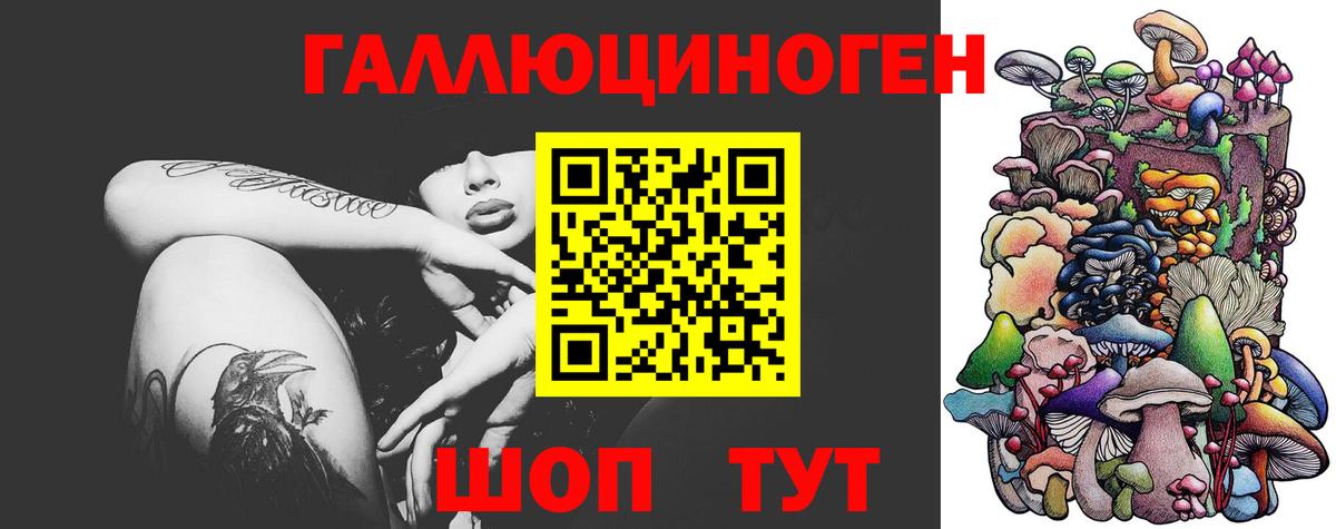 Галлюциногенные грибы Magic Shrooms Новокубанск