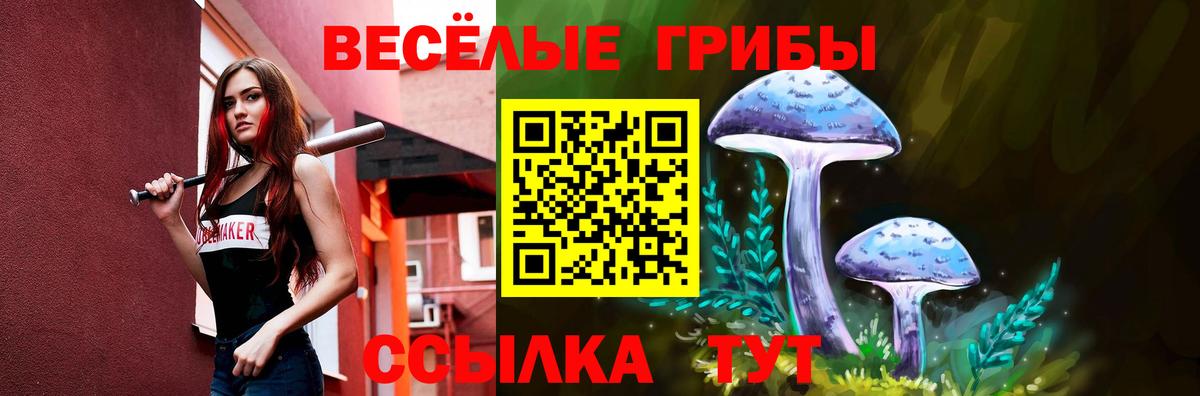 Новокубанск  Галлюциногенные грибы прущие грибы  Вход с VPN  Галлюциногенные грибы Psilocybe 