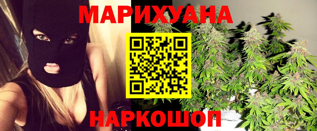 Марихуана семена Новокубанск